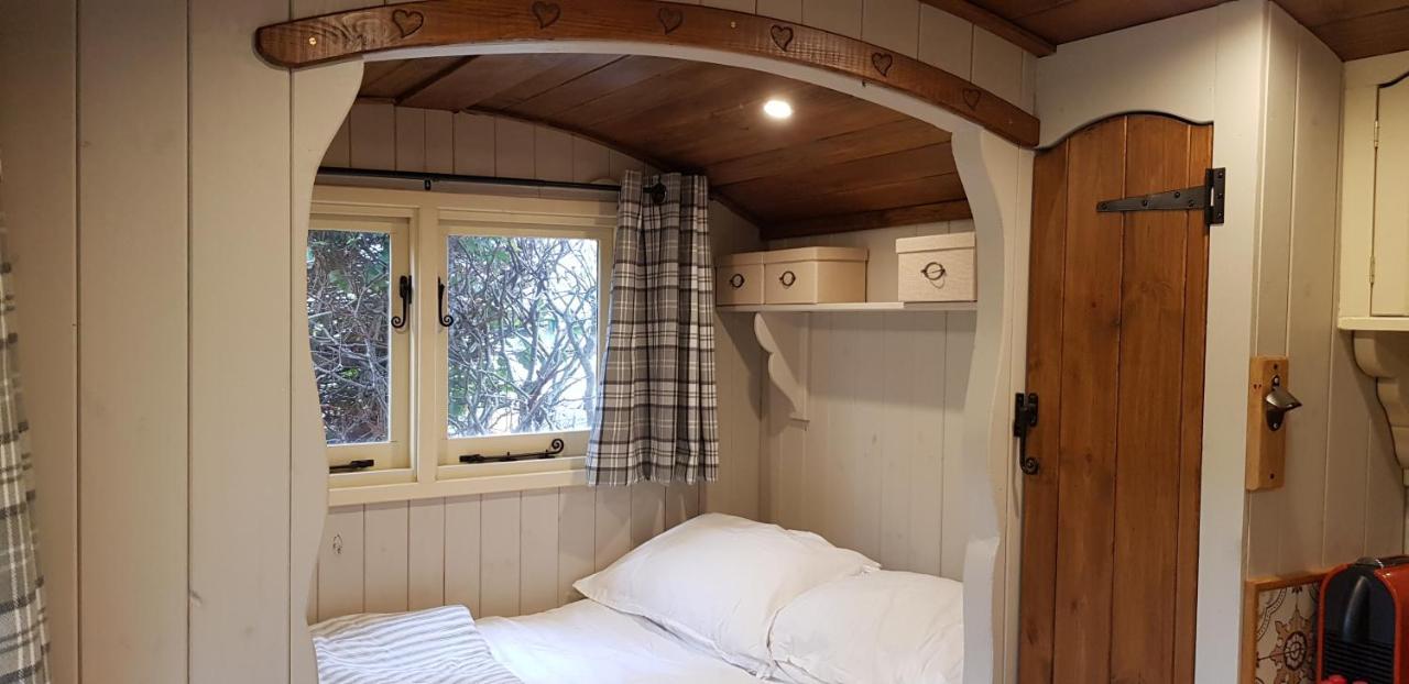 Apartment Elmdale Hut - Shepherds Hut